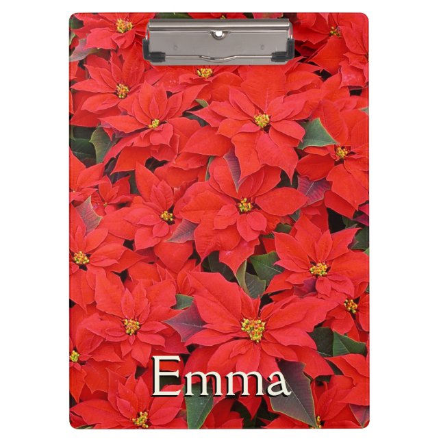 Carpeta De Pinza Poinsettias rojas Navidad la foto floral navideña (Anverso)