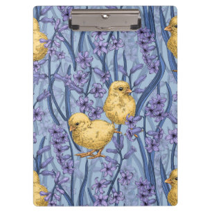 Carpeta De Pinza Pollos e jacintos sobre el azul celeste