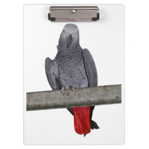 Carpeta De Pinza Polly Clipboard (elegir color)