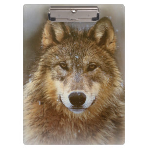 Carpeta De Pinza Portapapeles/Lobo