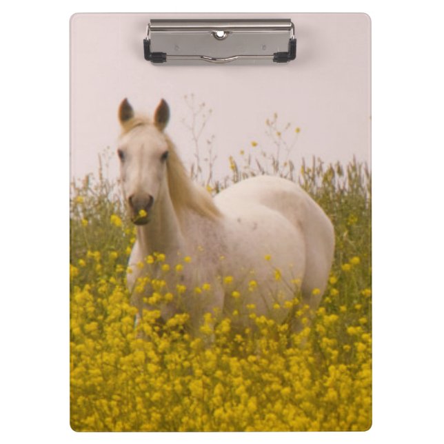 Carpeta De Pinza Primavera (Anverso)