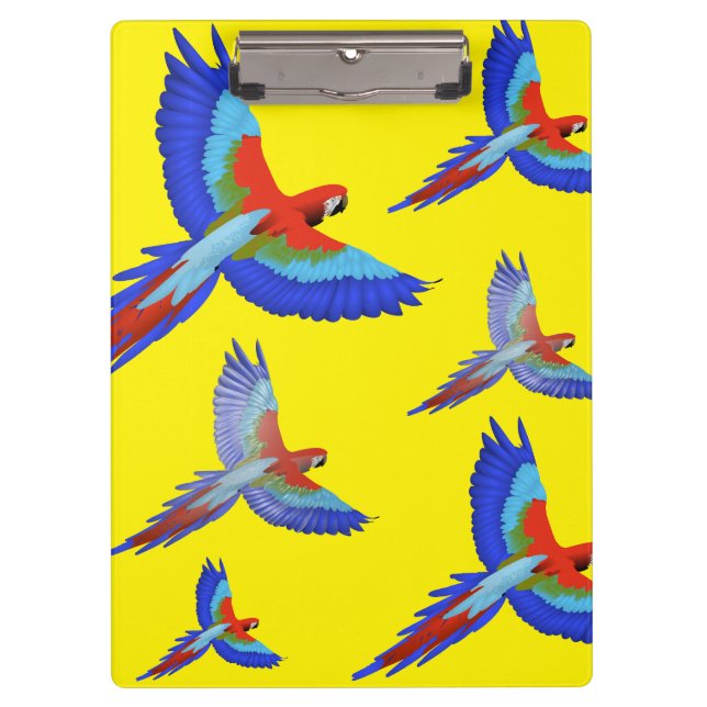 Carpeta De Pinza Primavera de playa de Mikitiez Parrot hawaii summe (Anverso)