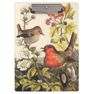 Carpeta De Pinza Primavera Robin Birds Red Birds