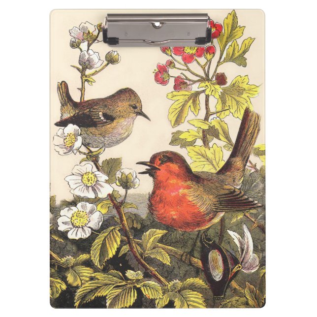 Carpeta De Pinza Primavera Robin Birds Red Birds (Anverso)