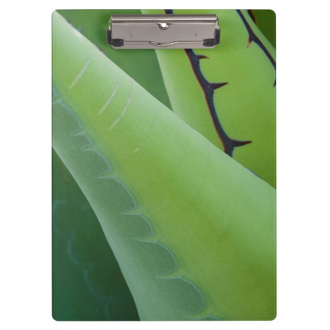 Carpeta De Pinza Primer plano de agave (Anverso)