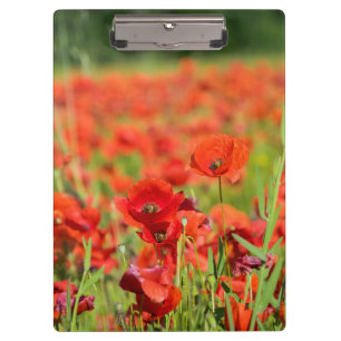 Carpeta De Pinza Primer plano de un campo de amapolas, Francia