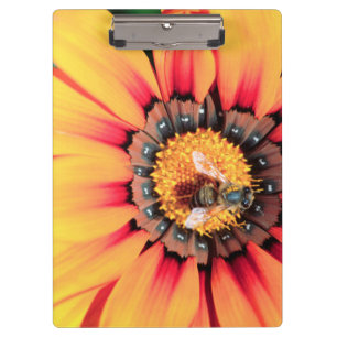 Carpeta De Pinza Primer plano extremo de una abeja recogiendo polen