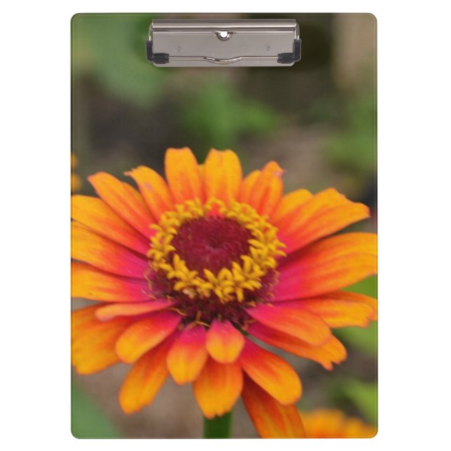 Carpeta De Pinza Producto del personalizar (Anverso)