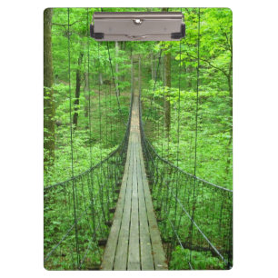 Carpeta De Pinza Puente colgante