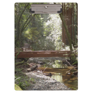 Carpeta De Pinza Puente Muir Woods II