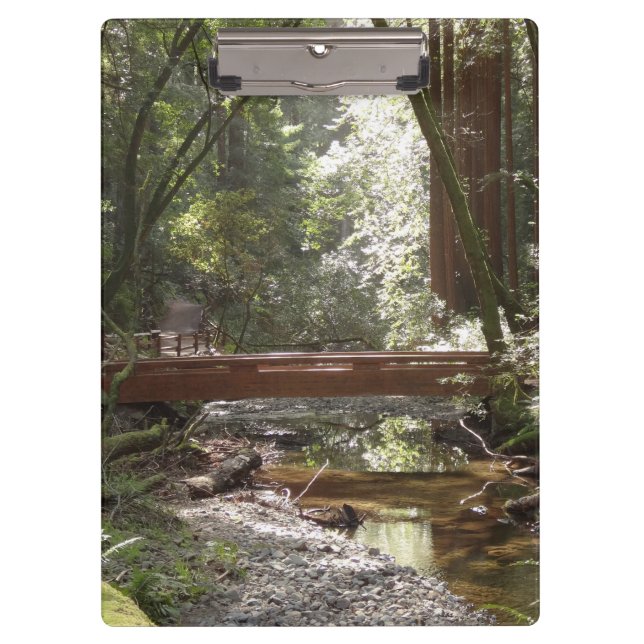 Carpeta De Pinza Puente Muir Woods II (Anverso)