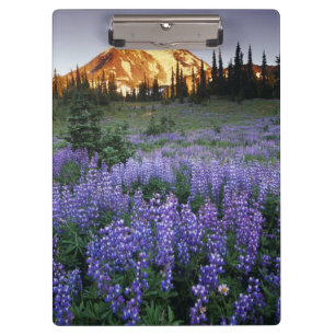Carpeta De Pinza Puesta de sol sobre Mt. Adams y un prado subalpino