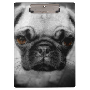Carpeta De Pinza Pug Pup