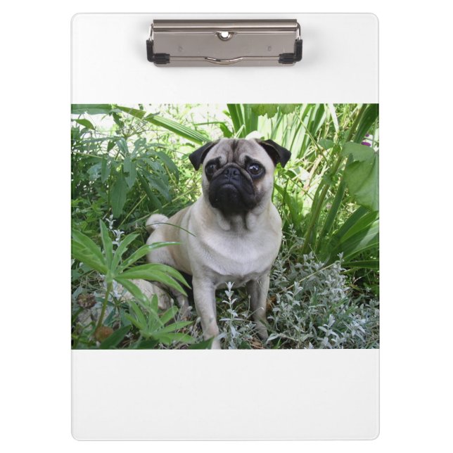 Carpeta De Pinza pug sentado (Anverso)