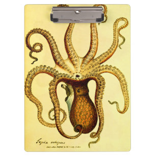 Carpeta De Pinza Pulp Octopus No. 46 Naturalista de la Academia O