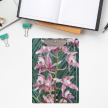 Pulverización de Orquídeas de Cimbidio Rosa Floral