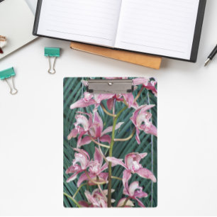Carpeta De Pinza Pulverización de Orquídeas de Cimbidio Rosa Floral