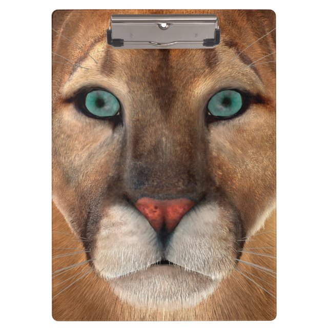 Carpeta De Pinza Puma (Anverso)