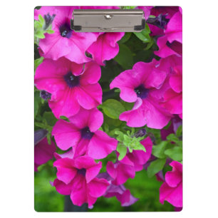 Carpeta De Pinza Púrpura petunias