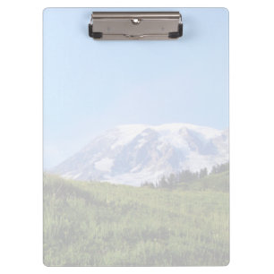 Carpeta De Pinza Rainier PDSC230