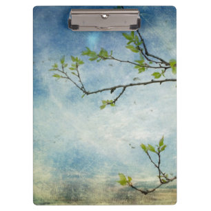 Carpeta De Pinza Rama de árbol sobre el cielo texturizado