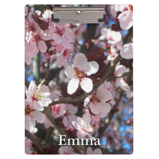Carpeta De Pinza Rama de flores primaverales de flores rosadas