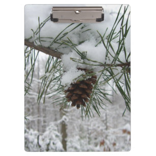 Carpeta De Pinza Rama de pino nevada Fotografía de la naturaleza in