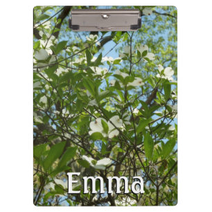 Carpeta De Pinza Ramas de Dogwood florecen árboles de primavera