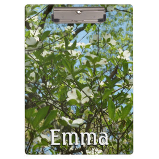Carpeta De Pinza Ramas de Dogwood florecen árboles de primavera