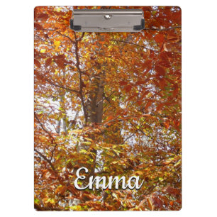Carpeta De Pinza Ramas de Naranja abandonan la naturaleza otoñal