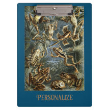 Rana y sapo Ernst Haeckel