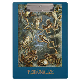 Carpeta De Pinza Rana y sapo Ernst Haeckel