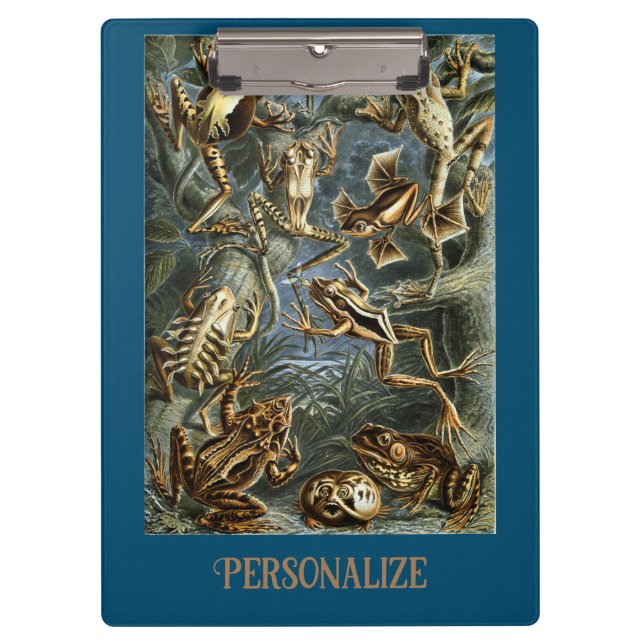 Carpeta De Pinza Rana y sapo Ernst Haeckel (Anverso)