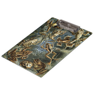 Carpeta De Pinza Ranas y sapos vintage Batrachia por Ernst Haeckel