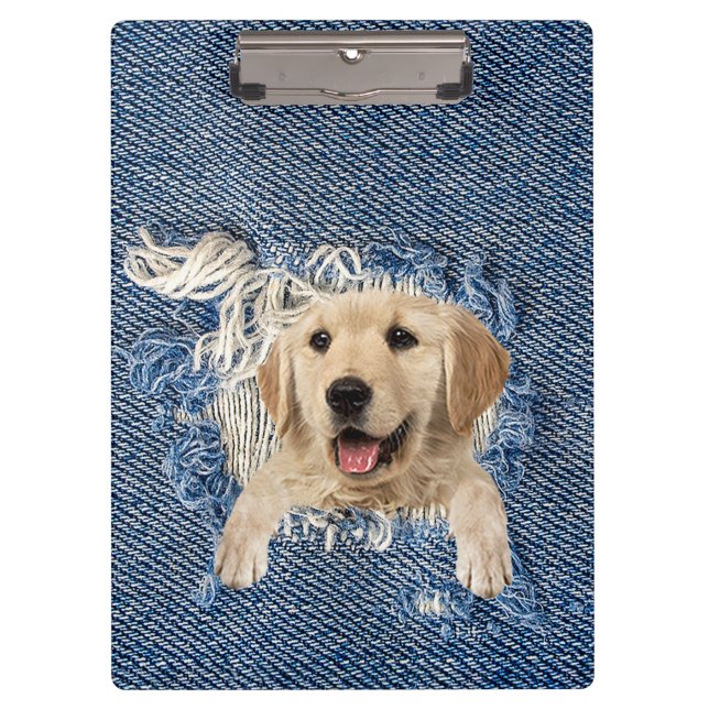 Carpeta De Pinza Recuperador de oro en Denim Hole (Anverso)