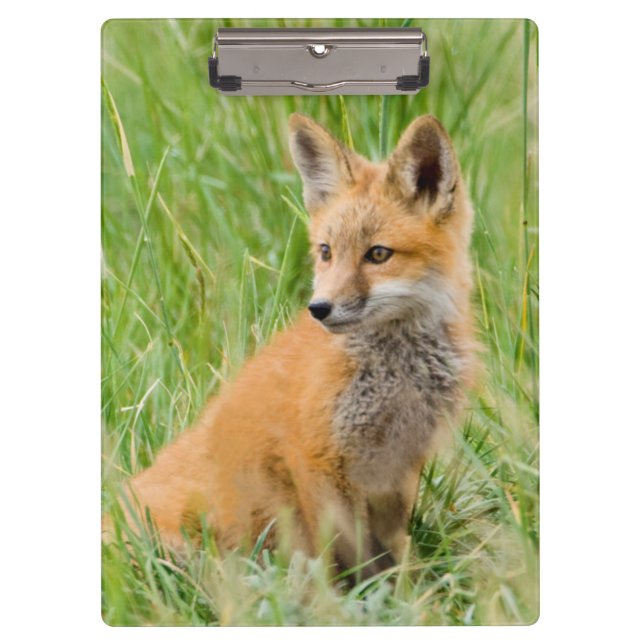 Carpeta De Pinza Red Fox Kit en césped cerca de den (Anverso)