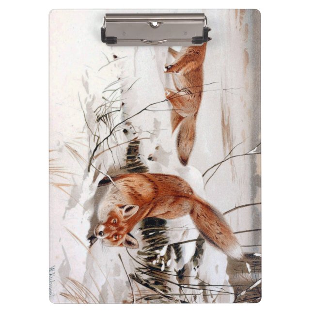 Carpeta De Pinza Red Foxes in Snow at Winter (by Wilhelm Kuhnert) (Anverso)