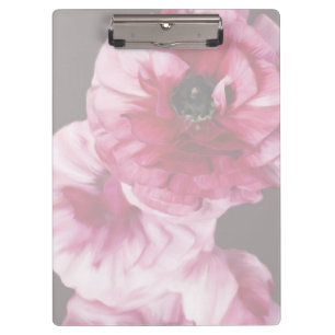 Carpeta De Pinza Red Ranunculus