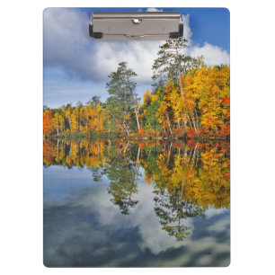 Carpeta De Pinza Reflejos de estanque en otoño, Maine