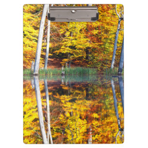Carpeta De Pinza Reflexión del otoño