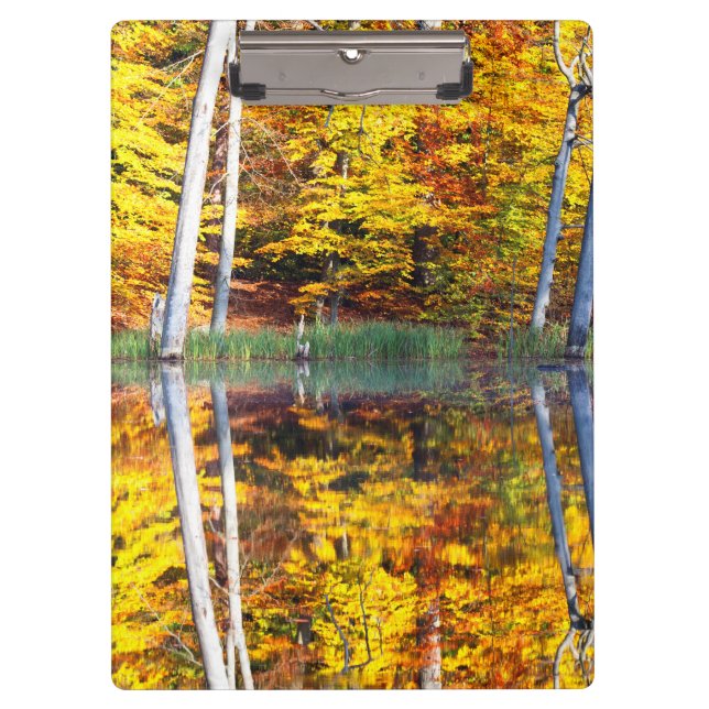 Carpeta De Pinza Reflexión del otoño (Anverso)