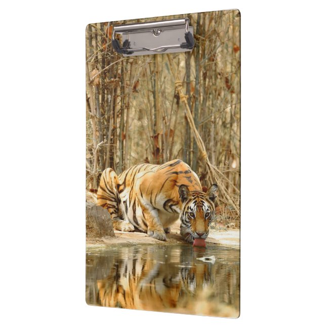 Carpeta De Pinza Reflexión del tigre (Izquierda)