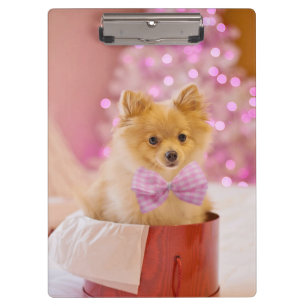 Carpeta De Pinza Regalo de perro cachorro de Navidad