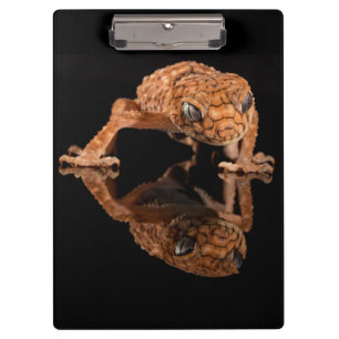 Carpeta De Pinza Reptile pequeño con lámina corta con reflexión