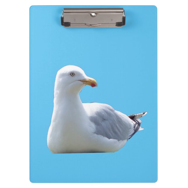 Carpeta De Pinza Resting Seagull Coastal  Ocean Bird Nature Art (Anverso)