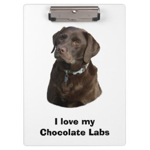 Carpeta De Pinza Retrato de la foto del perro de Labrador del