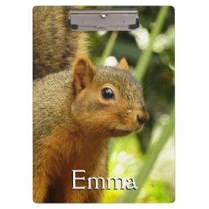 Carpeta De Pinza Retrato de una fotografía animal de la naturaleza