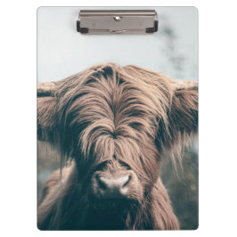 Carpeta De Pinza Retrato de vaca Highland