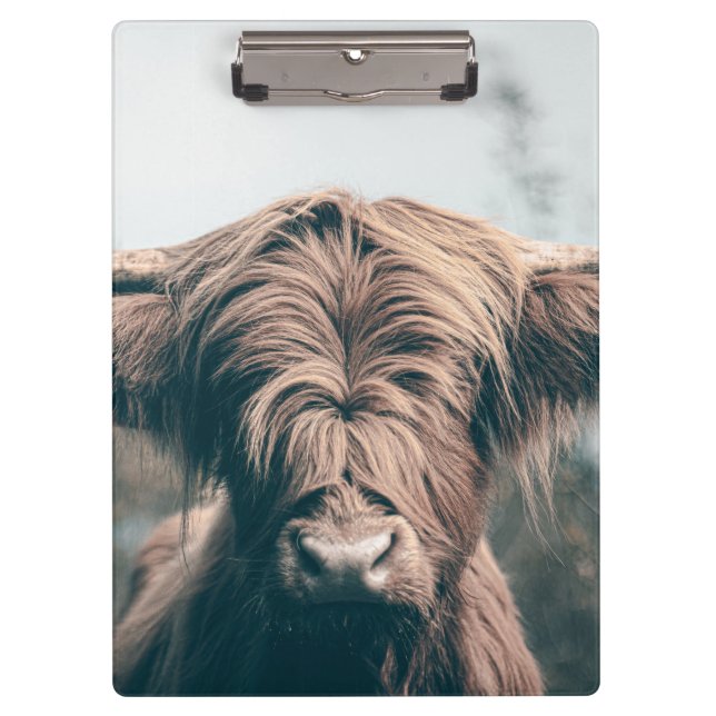 Carpeta De Pinza Retrato de vaca Highland (Anverso)