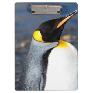Carpeta De Pinza Retrato pingüino